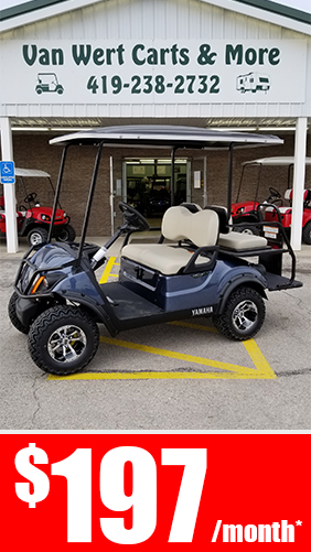 2018 Yamaha Drive2 - Gas
